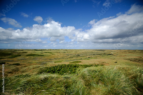 Cuadros en Lienzo Landscape of Blavand, Jutland, Denmark
