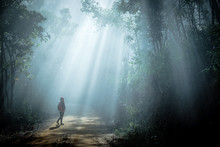 Girl In Sun Rays Coming Through The Trees In Forest
