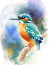 Watercolor Bird Kingfisher Sitting On The Branch Hand Painted Wildlife Illustration 