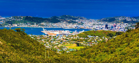 Wall Mural - Location: New Zealand, capital city Wellington. View from the SkyLine track and Mount KayKay