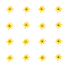 Pattern Of Yellow Daffodils, Flowers On White Background. Narcissus Flowers. Vector Illustration