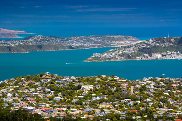 Wall Mural - Location: New Zealand, capital city Wellington. View from the SkyLine track and Mount KayKay