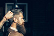 © Volodymyr - Bearded man getting hair styling by hairdresser at barbershop