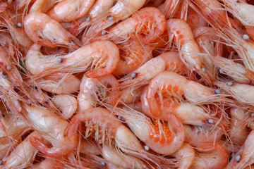 boiled lanchester freshwater prawn