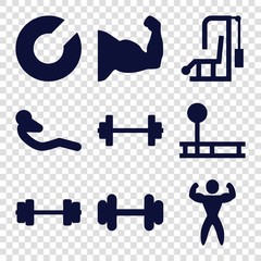 Sticker - Set of 9 muscle filled icons