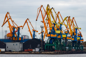 Wall Mural - Yellow cargo cranes in the port of Riga, Europe