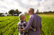 © Syda Productions - happy senior couple at summer farm