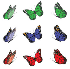 Wall Mural - vector butterfly set