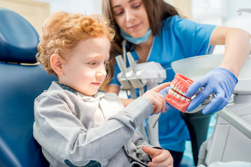 Female dentist showing the young boy artificial jaw at the dental office