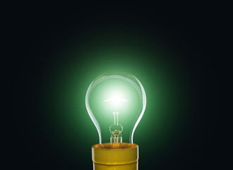 Wall Mural - close up of incandescent light bulb to use illustration