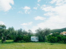 The Trailer In The Woods. Homes Forest. Olive Grove.