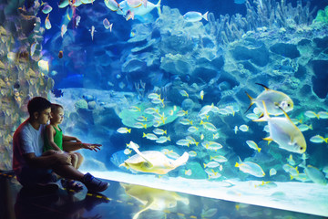 excited father and son watching the marine life in oceanarium