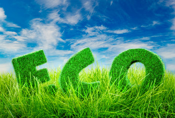 Eco concept Letters on the green grass on blue sky background.