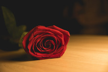 Bright Red Rose Lies On A Wooden Table