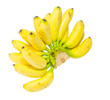 © songsakpandet - Banana on white background.