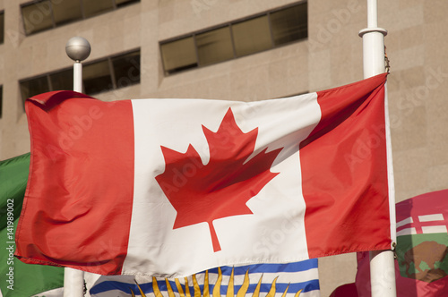 Stampa su Tela Canada flag blowing in Toronto