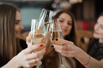 Portrait of happy young friends touching the glasses with each other