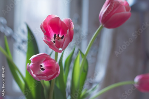 Pink tulips, bouquet.