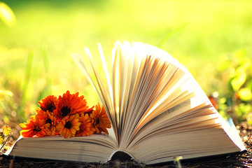 Canvas Print - open book with flower on grass