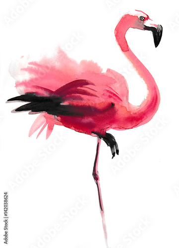 Watercolor flamingo Wallpaper Mural