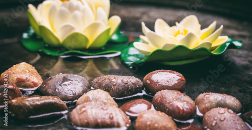 Water lilies and pebbles in water background