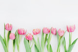 Pink tulip flowers for spring background top view in flat lay style with clean space for text. Greeting for Woman or Mother Day.