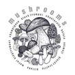 Mushrooms in a circle.