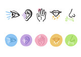 Fototapeta Dinusie - Hand drawn icons representing the five senses