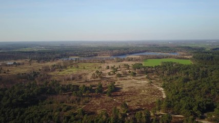 Wall Mural - Aerial: Flying over a pine forest with a big lake and meadow fields