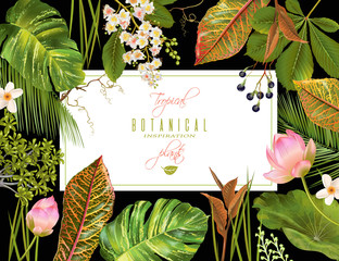 Wall Mural - Tropial plants banner