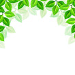 © naddya - Vector background with green leaves.