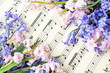 Music note sheet and hyacinth flowers