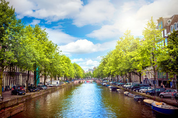 Wall Mural - canal in amsterdam
