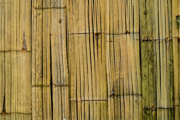 Wall Mural - Bamboo bark texture