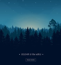 Coniferous Forest Silhouette Background Image With Nightime Stars And Rays Of The Sunset