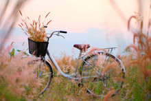 Beautiful Landscape Image With Bicycle At Sunset. Bicycle Parking At Garden. Sweet And Vintage Background. Bicycle Vintage