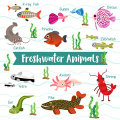 Wall Mural - Freshwater Animals cartoon on white background with animal name, Vector illustration.
