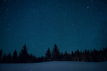 Christmas Trees On The Background Of The Starry Winter Sky.