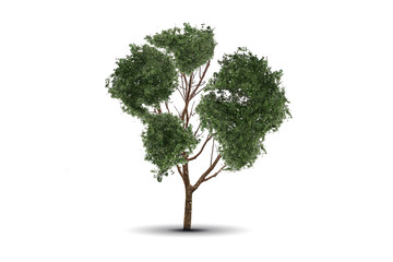 concept global and recycle of life. big alone tree in the field isolated
