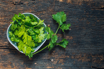 Wall Mural - Coriander leaves, fresh green cilantro on wooden background, Food herbal aroma ingredient on dark wood.