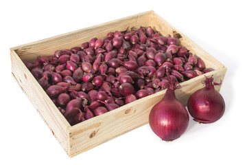 Drawer filled with onions intended for planting