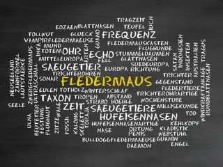 Canvas Print - Fledermaus