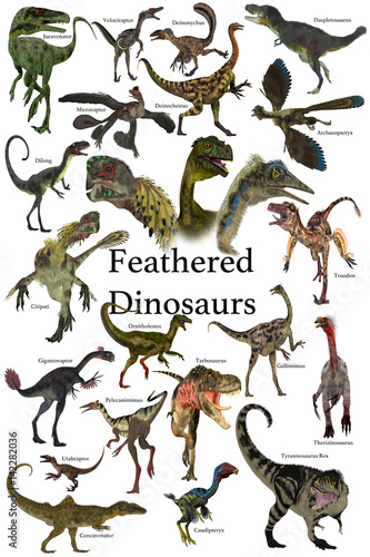 Feathered Dinosaurs - A collection of various feathered dinosaurs from different prehistoric periods of Earth's history плакат