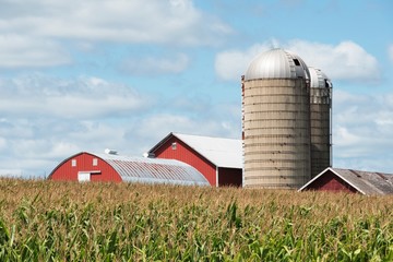 Farm over Cornfield