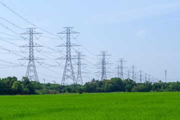 Electriccity Pole with green rice field