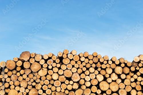 Photo of a pile of natural wooden logs Poster Mural XXL