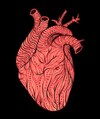 Wall Mural - Human heart line art. Vector illustration. Tattoo style