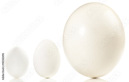 Huhnerei Ganseei Und Straussenei Stock Foto Adobe Stock