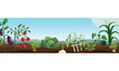 Vector Vegetable Garden Header Illustration