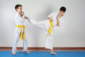 Two boys demonstrate martial arts working together